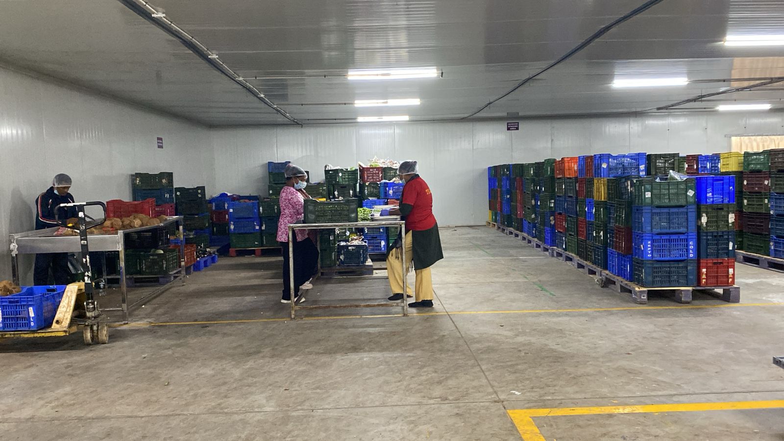 Workers sorting inventory in cold storage